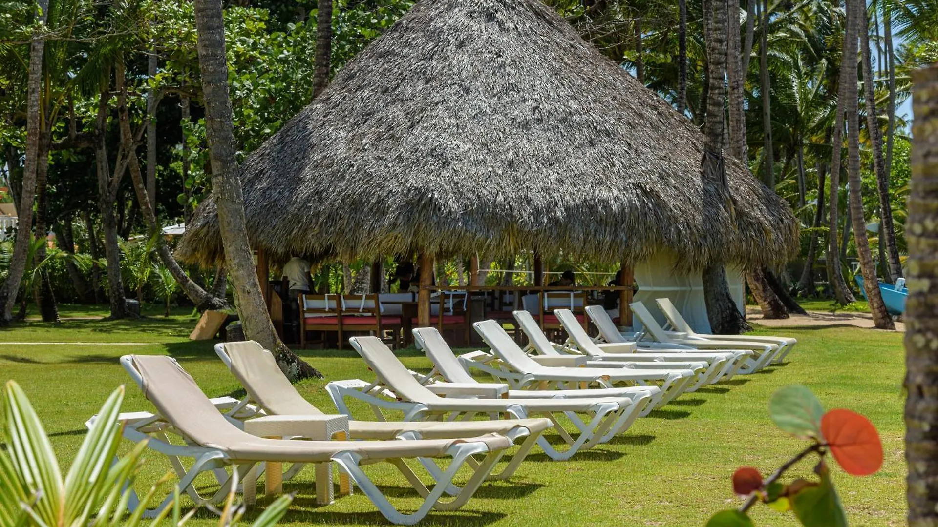 Hotel Atlantis Las Terrenas Dominican Republic